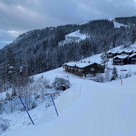 New Modern Apartment With Great View - Ski In & Out Skulestadmo Exterior photo